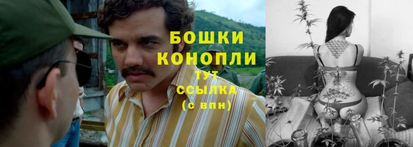 соль ск Вяземский