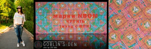 соль ск Вяземский