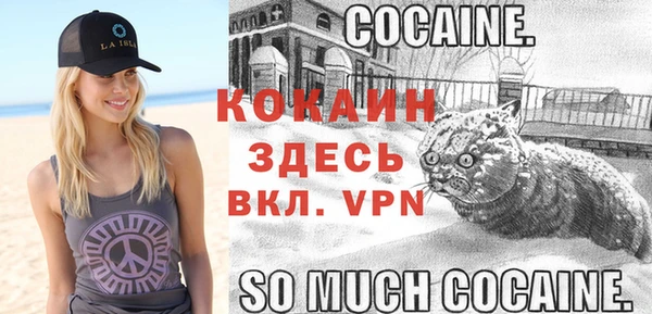 соль ск Вяземский
