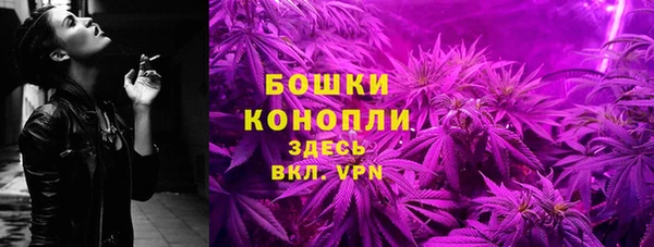 соль ск Вяземский