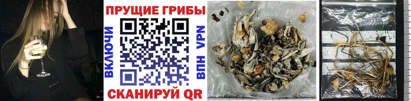 Псилоцибиновые грибы Magic Shrooms  Купить  Ржев 