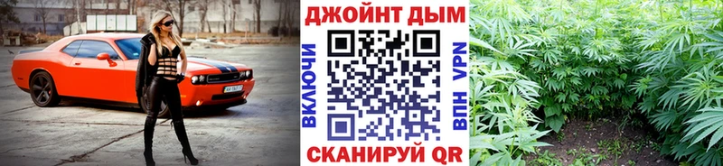 Купить где  Ржев  МАРИХУАНА OG Kush 